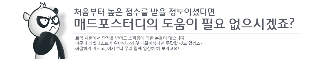 레벨테스트 결과